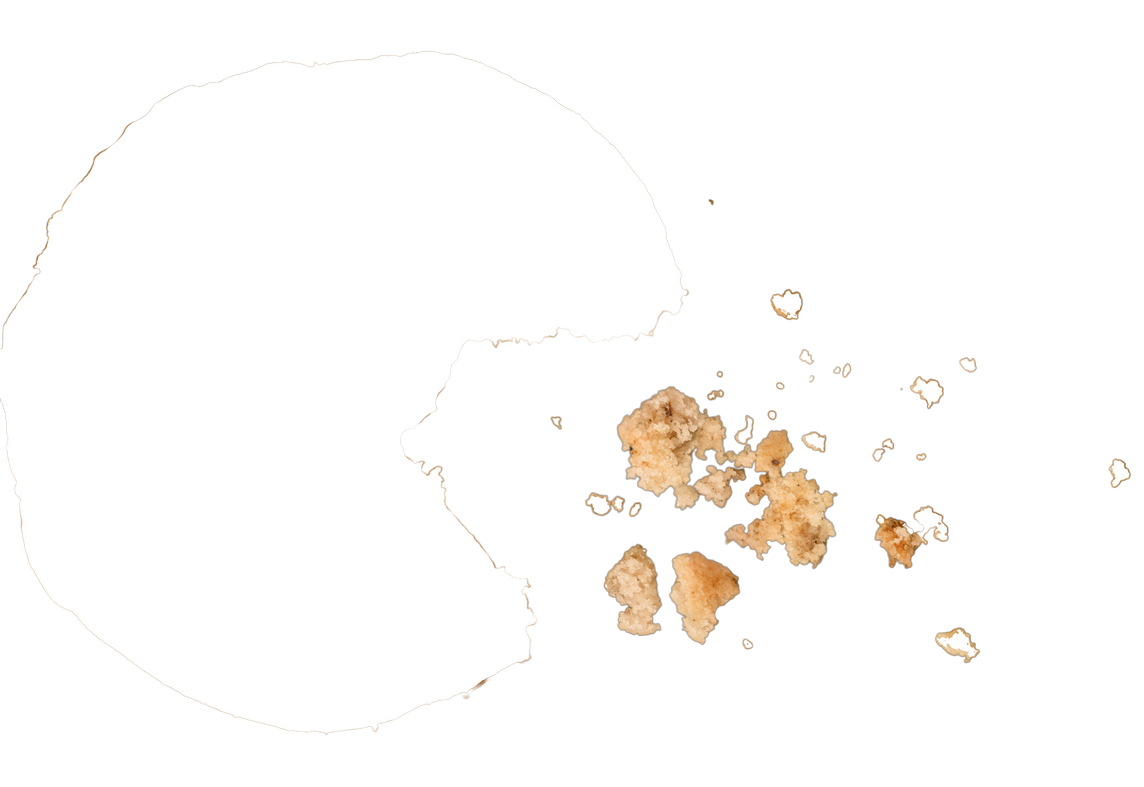 Partially Eaten Chocolate Chip Cookie